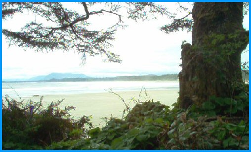 Long Beach Vancouver Island - British Columbia