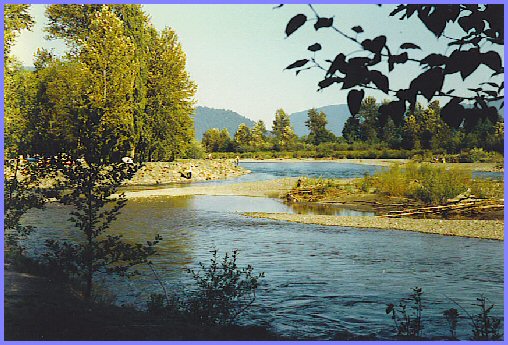 Vedder River - Vedder Campsite Run