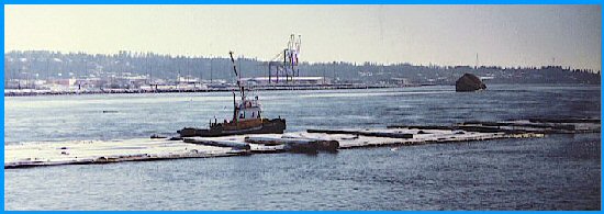 Tugboat towing log boom in the Fraser River  - British Columbia