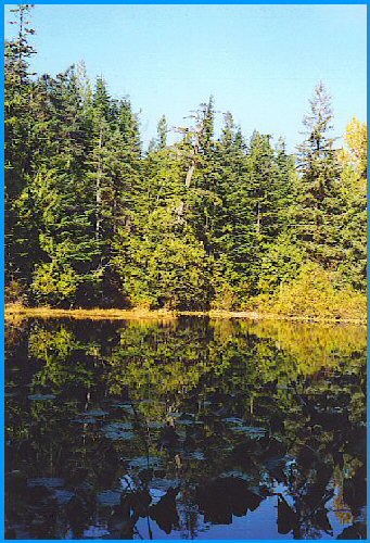 Alpine Lake - British Columbia