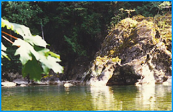 Forest Pool - British Columbia