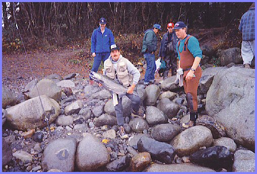 Slesse Creek Run