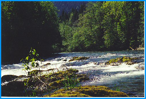 Vancouver Island River