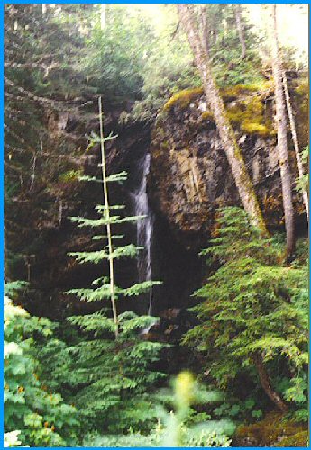 Vancouver Island Water Fall - British Columbia